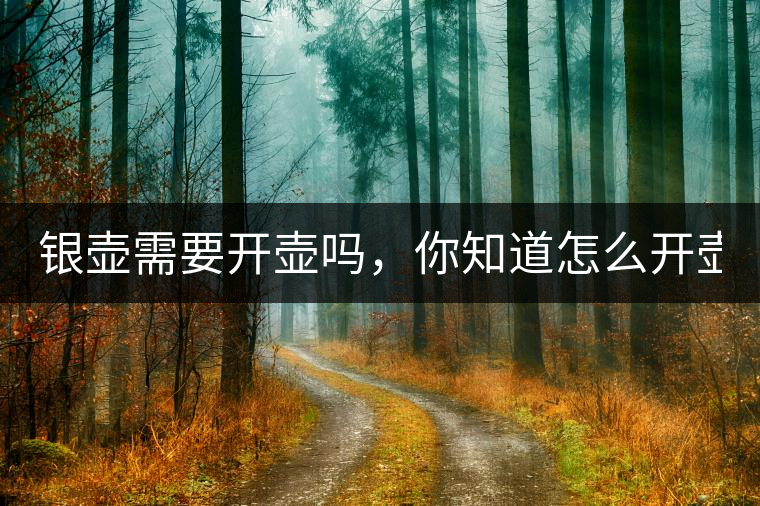 銀壺需要開壺嗎，你知道怎么開壺？