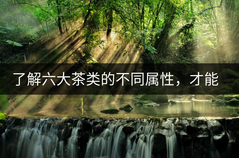 了解六大茶類的不同屬性，才能更好的選擇品飲！