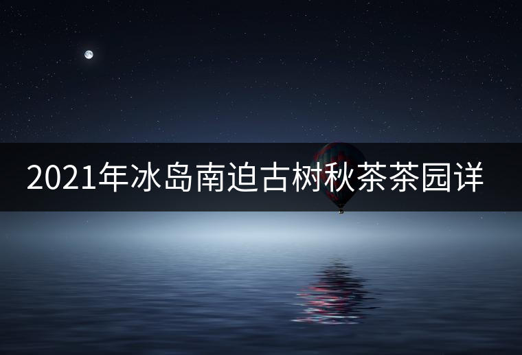 2021年冰島南迫古樹秋茶茶園詳解！