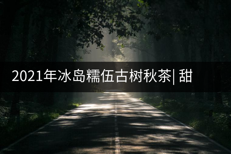 2021年冰島糯伍古樹秋茶| 甜出新高度,融在心底間~ 2021年冰島糯伍古樹秋茶| 甜出新高度,融在心底間~