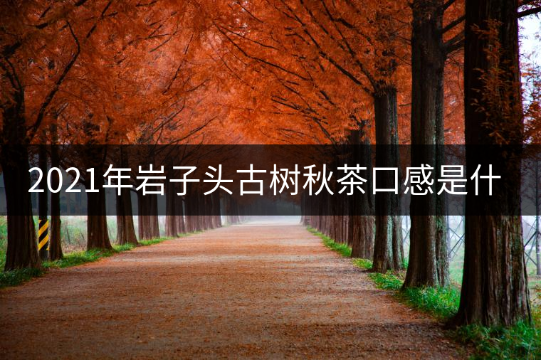 2021年巖子頭古樹秋茶口感是什么？