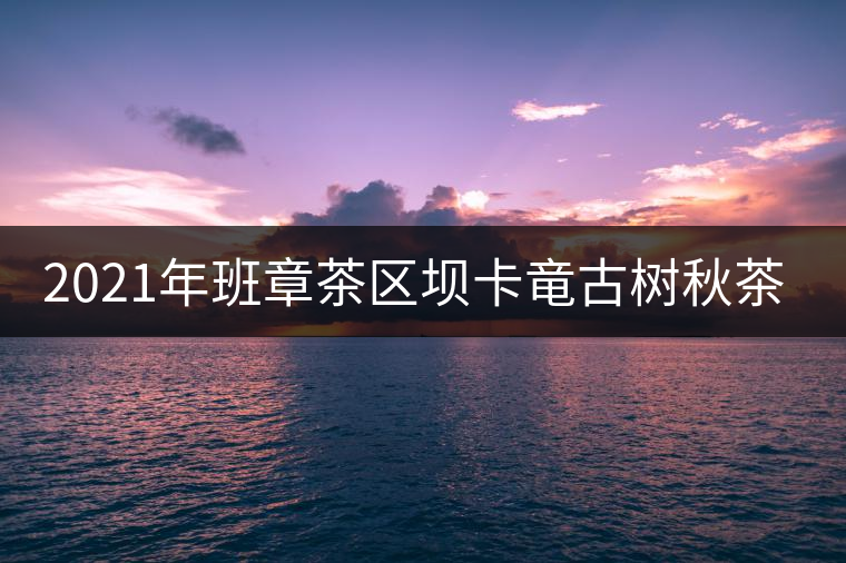 2021年班章茶區(qū)壩卡竜古樹(shù)秋茶多少錢(qián)一公斤？