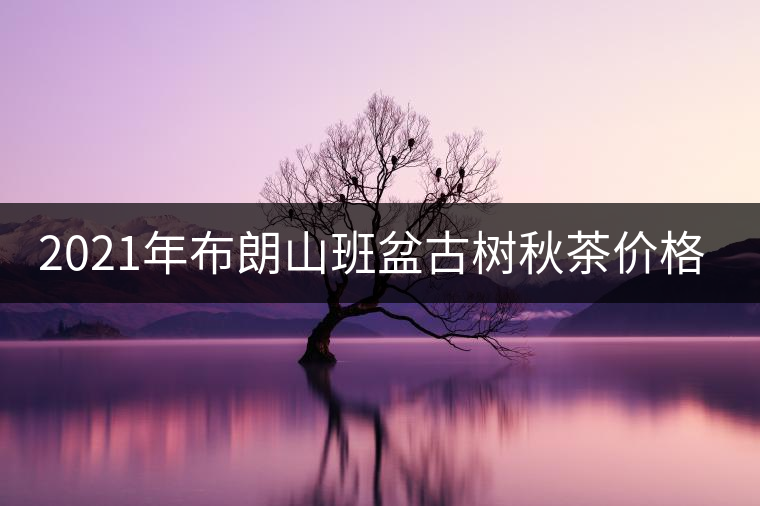 2021年布朗山班盆古樹秋茶價(jià)格？