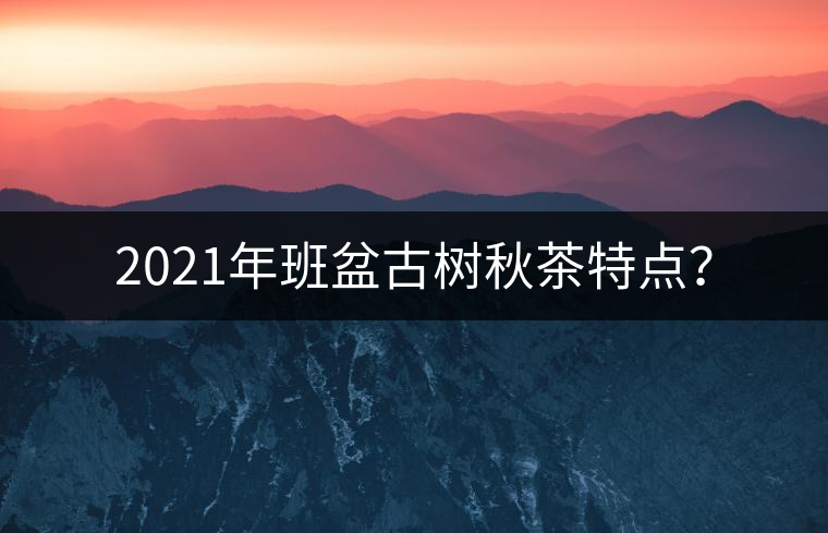 2021年班盆古樹秋茶特點(diǎn)？