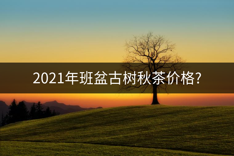 2021年班盆古樹(shù)秋茶價(jià)格?