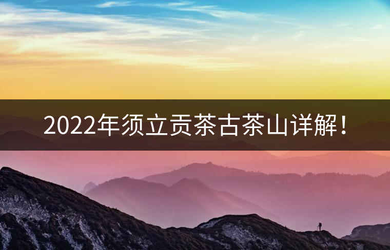 2022年須立貢茶古茶山詳解！
