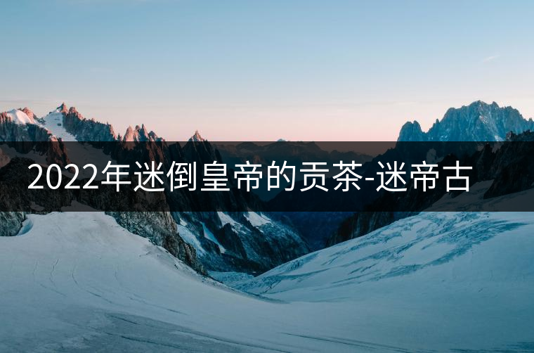2022年迷倒皇帝的貢茶-迷帝古樹春茶特點？