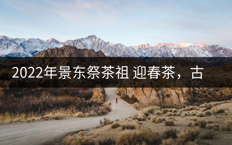 2022年景東祭茶祖 迎春茶，古樹春茶多少錢一公斤？