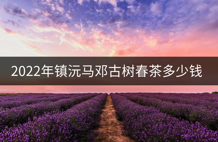 2022年鎮(zhèn)沅馬鄧古樹春茶多少錢一公斤？