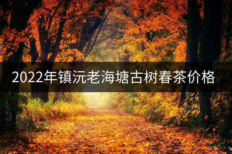 2022年鎮(zhèn)沅老海塘古樹春茶價格？