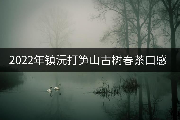 2022年鎮(zhèn)沅打筍山古樹春茶口感？