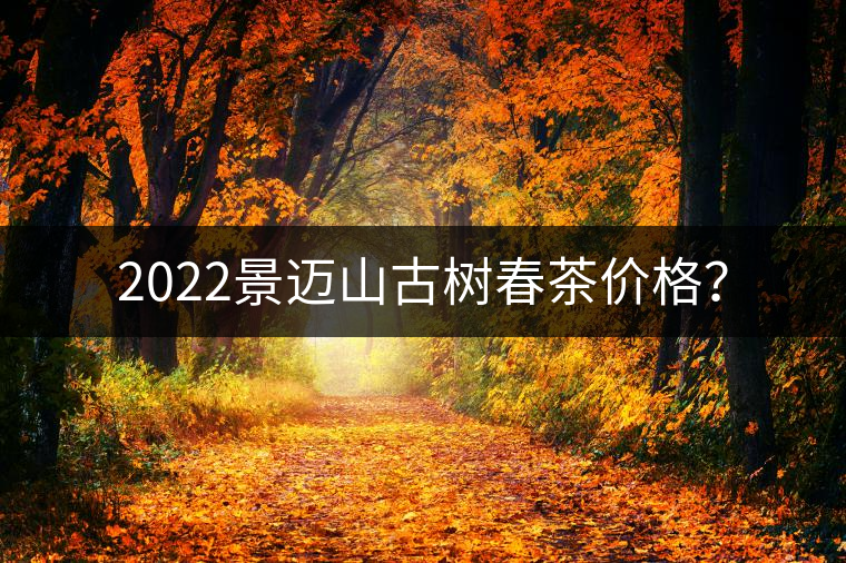 2022景邁山古樹春茶價格？
