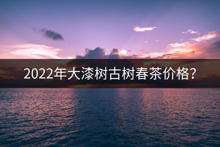 2022年大漆樹古樹春茶價格？