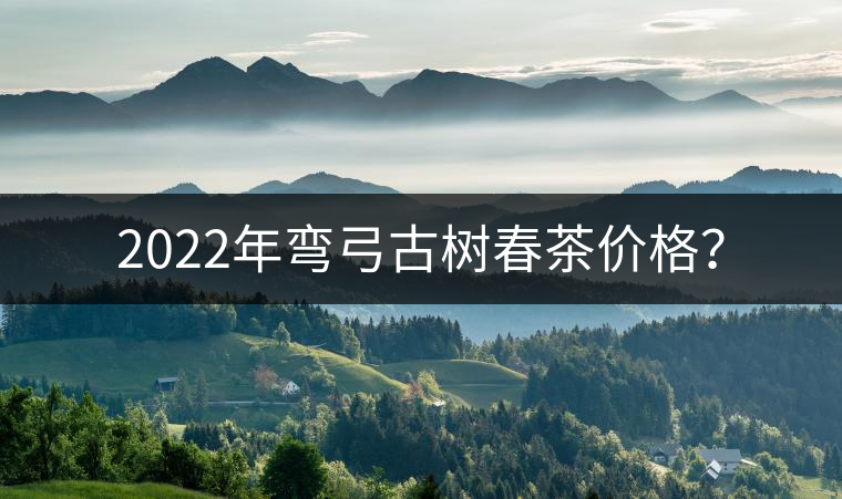2022年彎弓古樹春茶價(jià)格? 2022年彎弓古樹春茶價(jià)格?