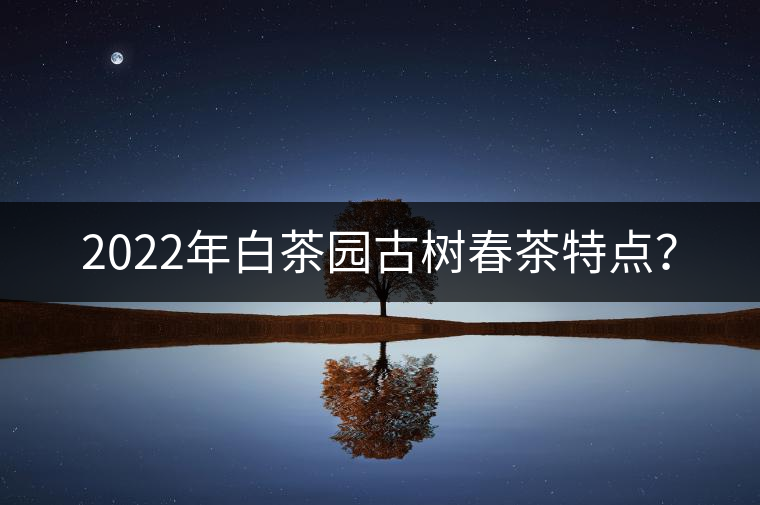 2022年白茶園古樹春茶特點(diǎn)? 2022年白茶園古樹春茶特點(diǎn)?