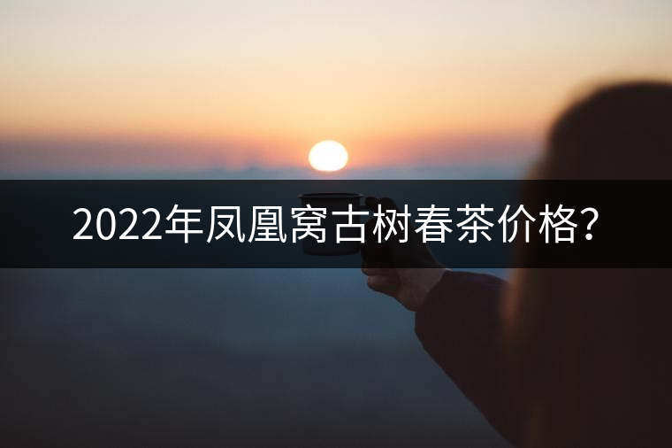 2022年鳳凰窩古樹春茶價(jià)格？