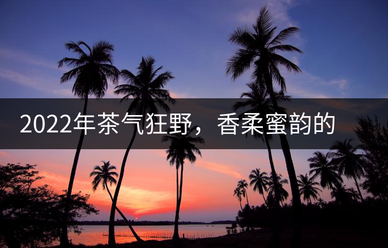 2022年茶氣狂野，香柔蜜韻的刮風(fēng)寨茶坪古樹茶
