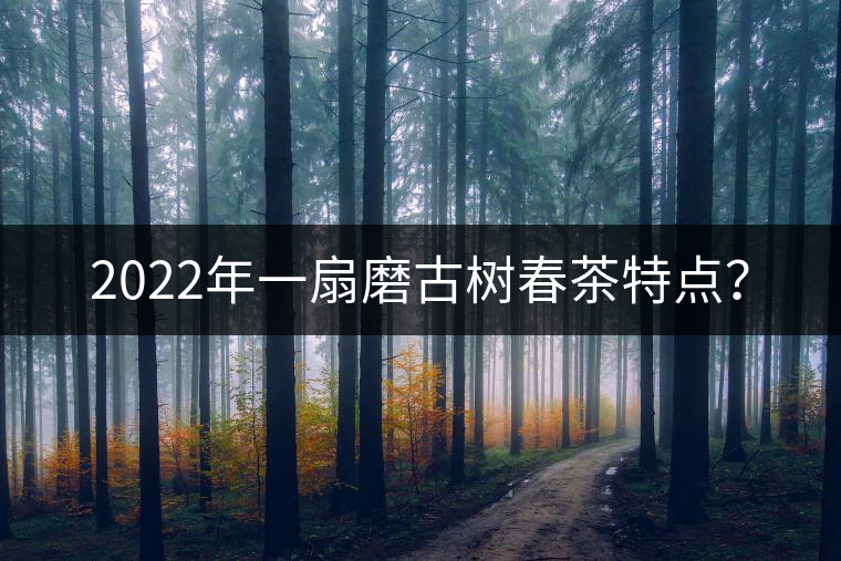 2022年一扇磨古樹春茶特點(diǎn)？