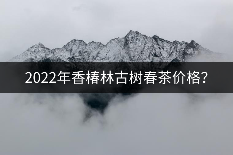 2022年香椿林古樹春茶價格？