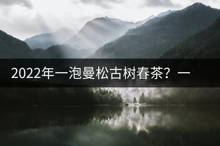 2022年一泡曼松古樹春茶?一飲帝王味…… 2022年一泡曼松古樹春茶?一飲帝王味……