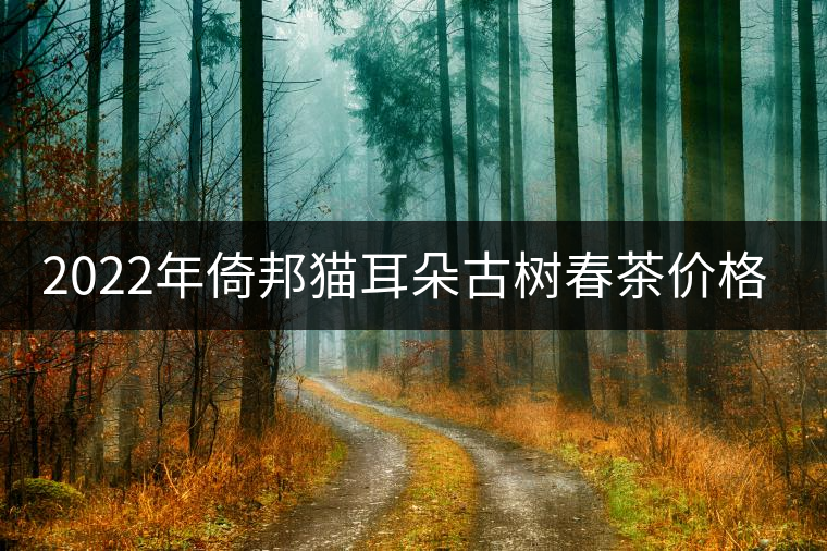 2022年倚邦貓耳朵古樹春茶價(jià)格? 2022年倚邦貓耳朵古樹春茶價(jià)格?