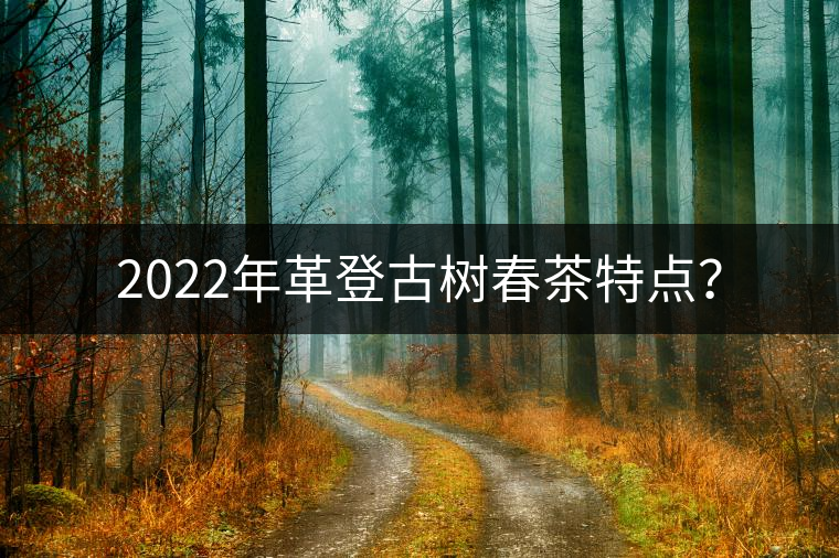 2022年革登古樹春茶特點？