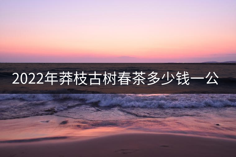 2022年莽枝古樹(shù)春茶多少錢(qián)一公斤？