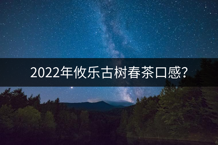 2022年攸樂古樹春茶口感? 2022年攸樂古樹春茶口感?