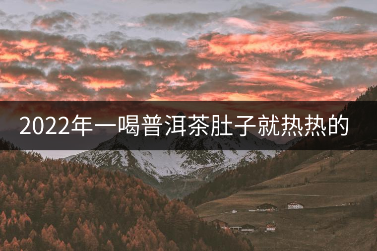 2022年一喝普洱茶肚子就熱熱的怎么回事？