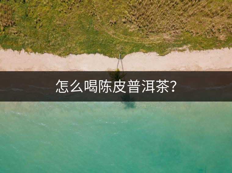 怎么喝陳皮普洱茶？