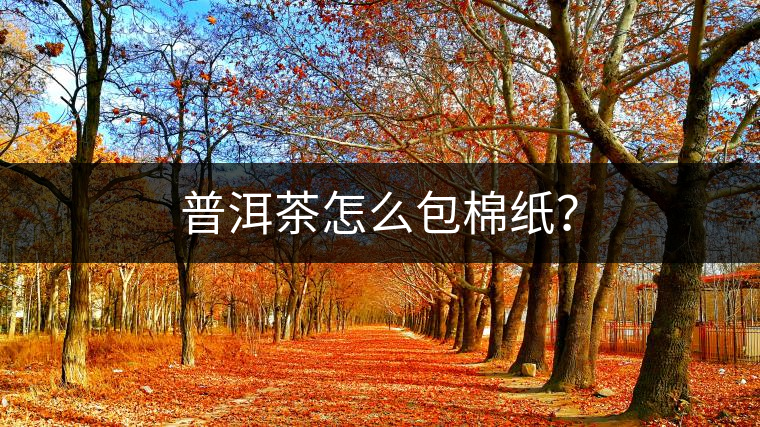 普洱茶怎么包棉紙？