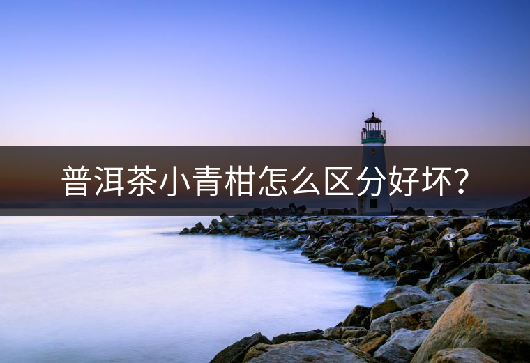 普洱茶小青柑怎么區(qū)分好壞？