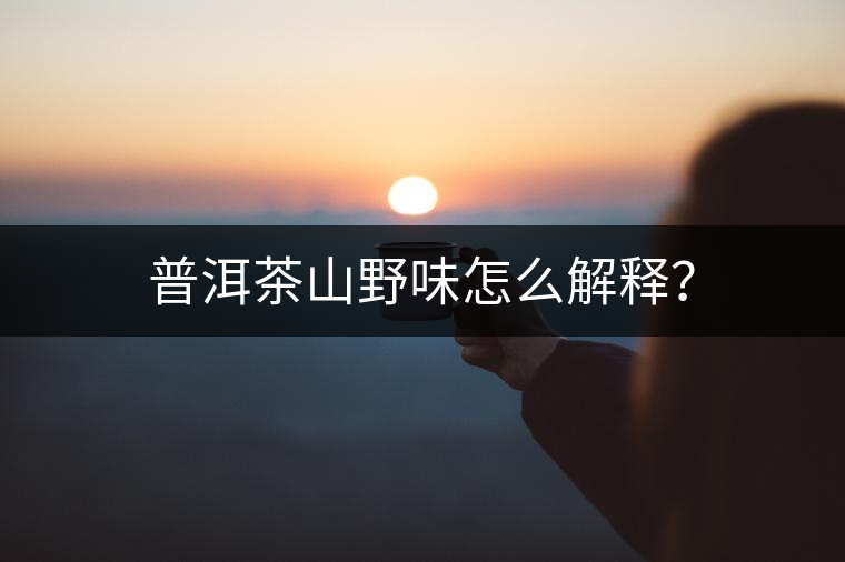 普洱茶山野味怎么解釋? 普洱茶山野味怎么解釋?