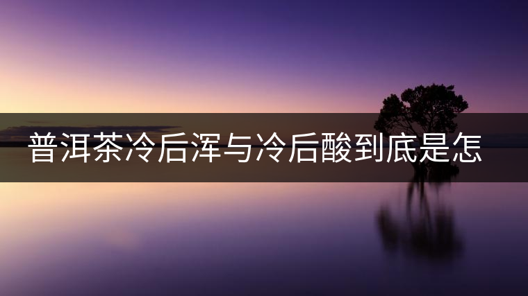 普洱茶冷后渾與冷后酸到底是怎么回事？