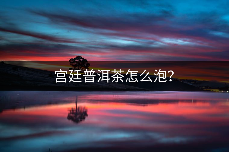 宮廷普洱茶怎么泡？