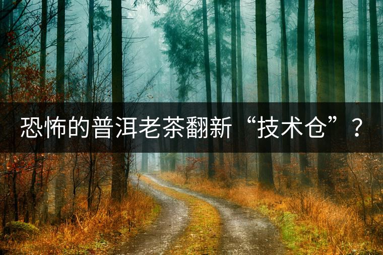 恐怖的普洱老茶翻新“技術倉”？