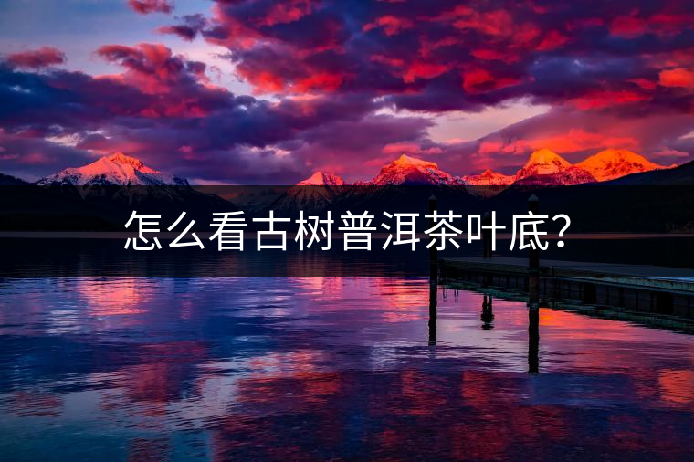 怎么看古樹普洱茶葉底？