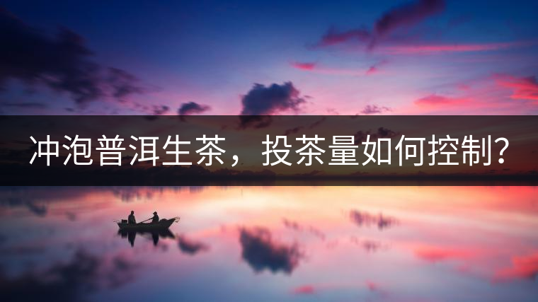 沖泡普洱生茶，投茶量如何控制？