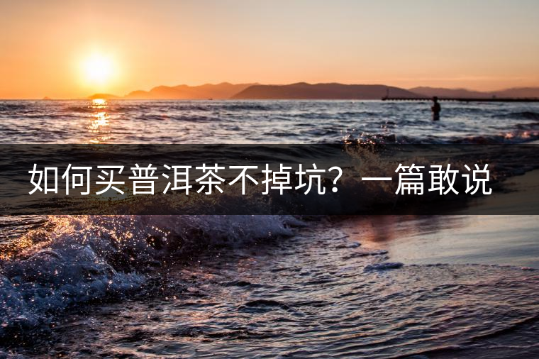 如何買普洱茶不掉坑？一篇敢說真話的良心之作。