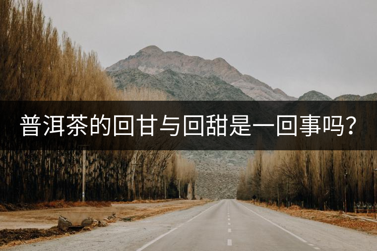 普洱茶的回甘與回甜是一回事嗎？？