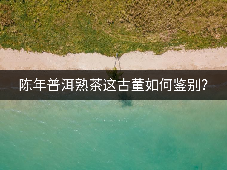 陳年普洱熟茶這古董如何鑒別？