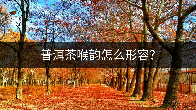 普洱茶喉韻怎么形容？