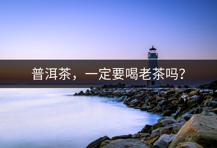 普洱茶，一定要喝老茶嗎？