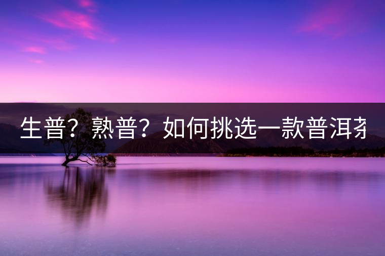 生普？熟普？如何挑選一款普洱茶？