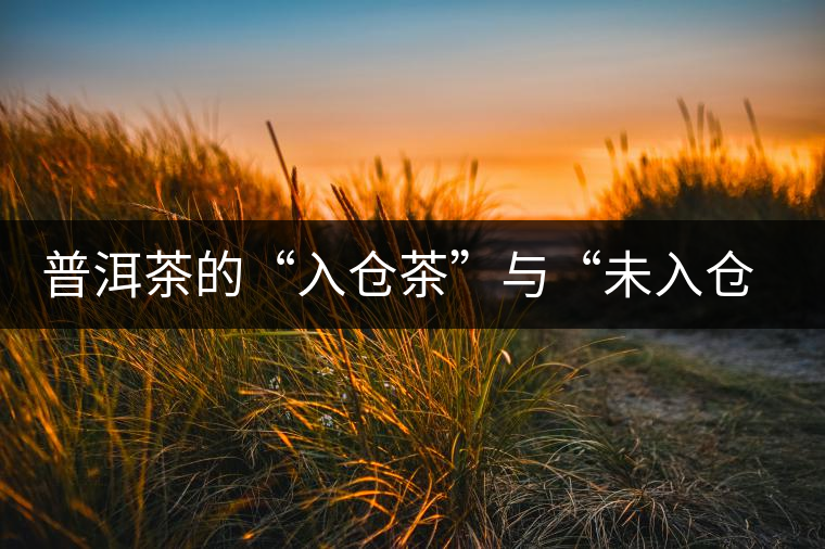 普洱茶的“入倉茶”與“未入倉茶”如何區(qū)分，你造嗎？