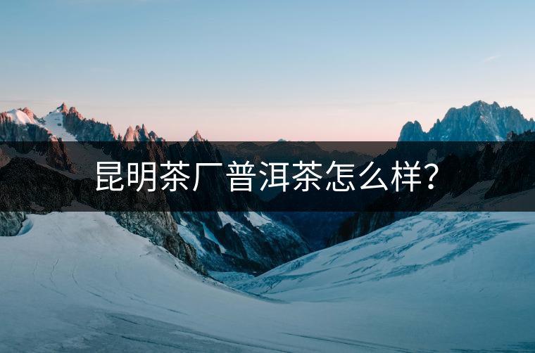 昆明茶廠普洱茶怎么樣？