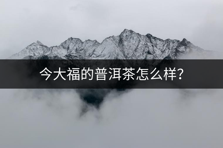 今大福的普洱茶怎么樣？