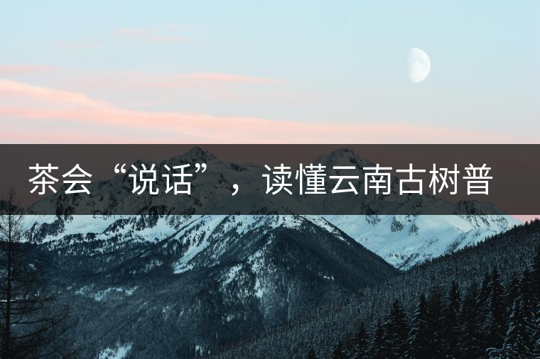茶會(huì)“說(shuō)話”，讀懂云南古樹(shù)普洱茶的秘訣
