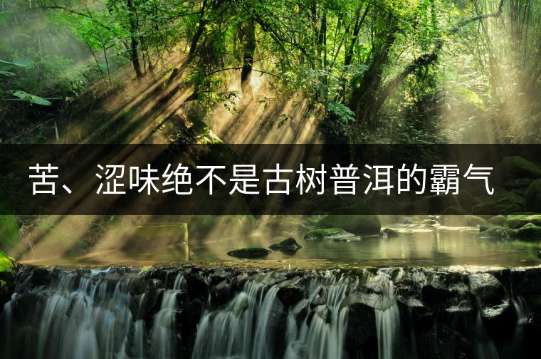 苦、澀味絕不是古樹普洱的霸氣，那也叫懂普洱茶，別逗了！