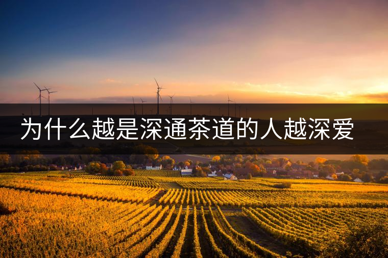 為什么越是深通茶道的人越深愛普洱茶？喜歡普洱茶，有三個原因。